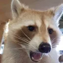 twigsnax