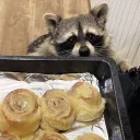 twigsnax