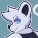 polar_0.0 avatar