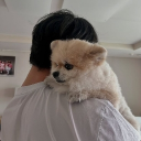 avatar phu nhân của fmvp cktg 2025