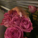 avatar ⃟⃟⃟⃟⃟⃟⃟⃟⃟⃟⃟⃟⃟⃟⃟