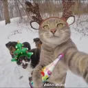 Аватар nooban4ik