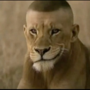 avatar hahaha?