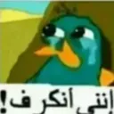 _ruayma_