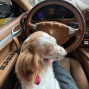 avatar 𝓜𝓪𝓼𝔂𝓪