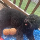 maggie7819092