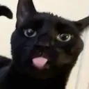 squair.dev