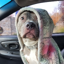 jackieleggs#4264's avatar