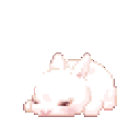 avatar 𝐍𝐈𝐍𝐈