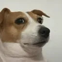 scrabz