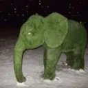 Slon iz mha©official