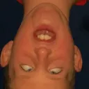 jimmythegiraffe_ avatar
