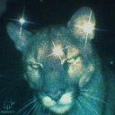 avatar dclone/Ahmed