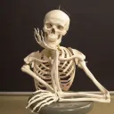 freaky_boby