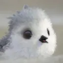 _peiper_