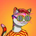 suiwondercats