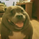 Dcb3033e0ca5e5a7c1518e8121365973