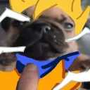 kuchao.112 avatar
