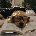 avatar ♱⋆. 𝐿𝑒𝓍 .⋆♱