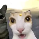 f1ying_st4r