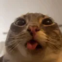 pfp