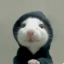 mrs_maus