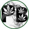 perfectbake420