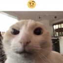 Bigbrojosh