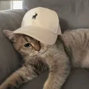 doooonad