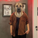 Discord Avatar