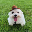 xswqd's Avatar