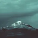 devender_fx