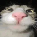 Аватар george228_