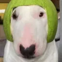 panawalter1811 avatar