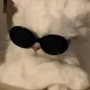 nammb