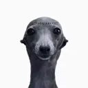 chunkymlk