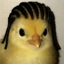Gatts's Avatar