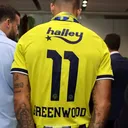 m.greenwood11