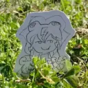 mushroom4933 avatar
