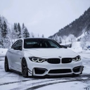 avatar 𝓕𝓮𝓭𝓭𝓮