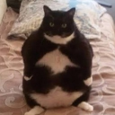 avatar 💉SweaterWeather 🌧