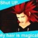 sassy_sas