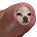 mgpkpe