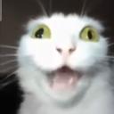 https://cdn.discordapp.com/avatars/1042485380856938638/8f68d5917b88f9170716d45ee99ba863.jpg?size=128