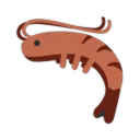 Shrimp