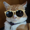 FelixZeCat