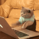 malwaretesting