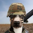 hoovy4492