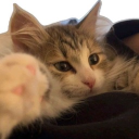 avatar 𝐊𝐎𝐔𝐊𝐈