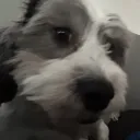 2xvexy
